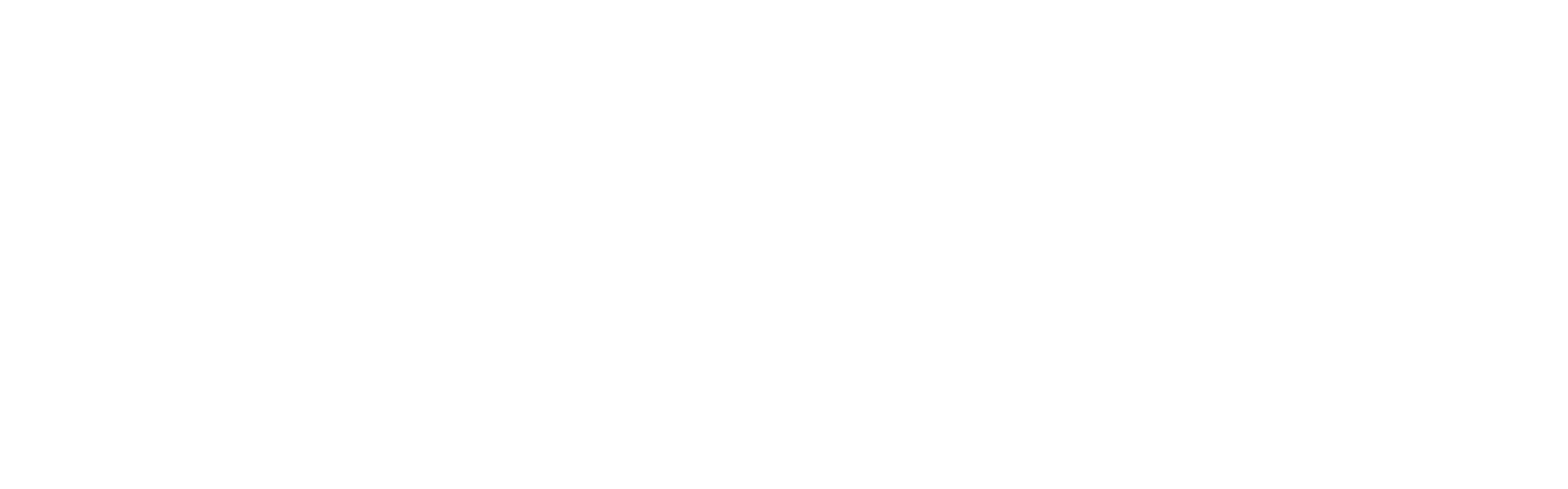 LeiaPix Logo